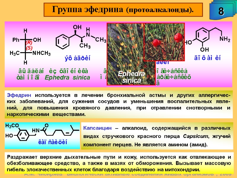 Группа эфедрина (протоалкалоиды). 8 А.М. Чибиряев 